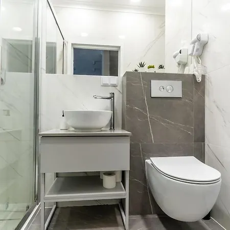 Apartment Golden -city Center - Mennica