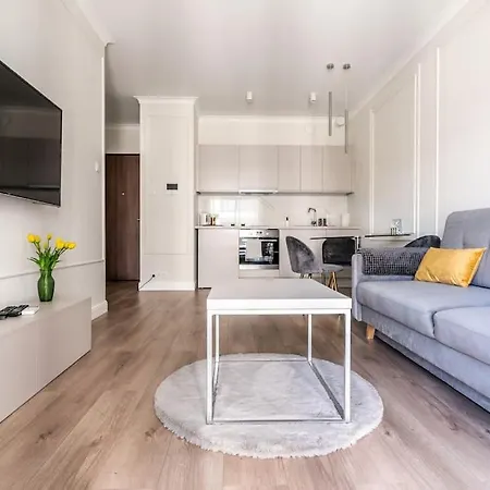 Apartment Golden -city Center - Mennica